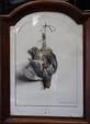 EDOUARD TRAVIES - Gravure encadrée, cadre bois arrondis - Nature